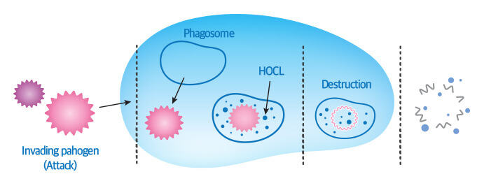 hocl hypochlorous devices