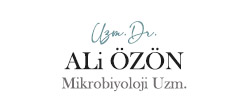 ali özön